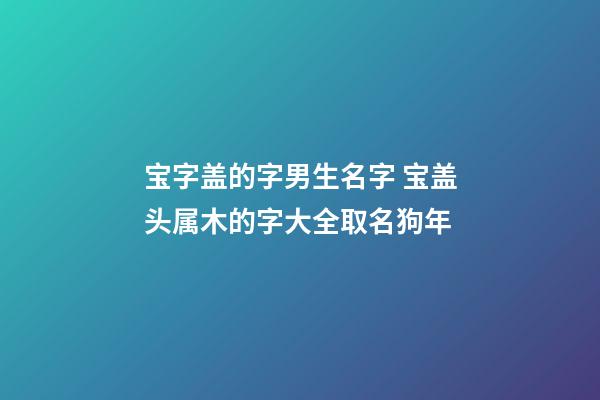 宝字盖的字男生名字 宝盖头属木的字大全取名狗年